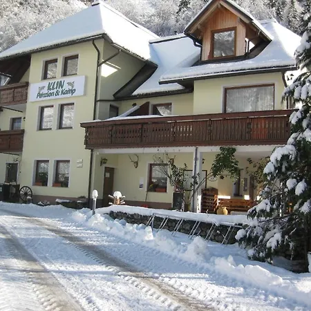 Kamp Klin