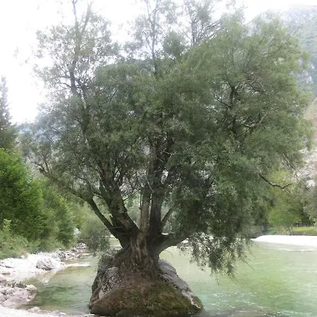 Kamp Klin 2* Bovec